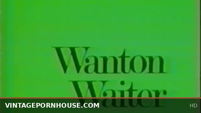 Danish Peepshow Loops 337 vintage 70s and 80s scene 3